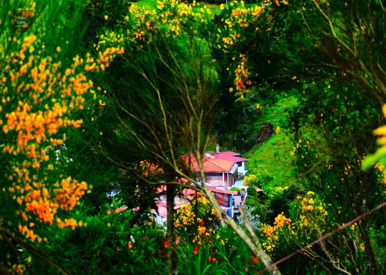 Hotel El Refugio กัวรานดา ภายนอก รูปภาพ